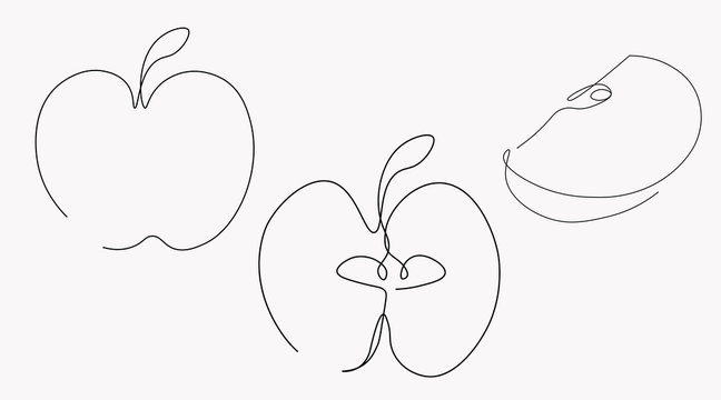 Apple on white background one line drawing, vector illustration