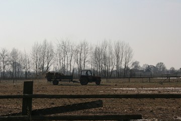 farm in winter