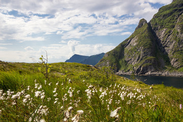 mountains growing out of the sea in Lofoten in Norway