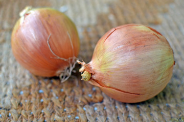two onions closeup