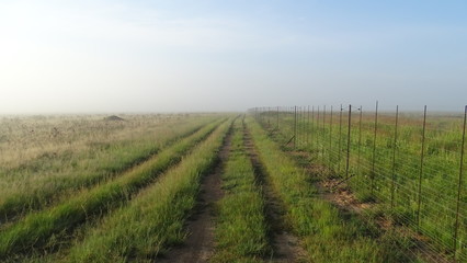 Fototapeta premium Adventure awaits you