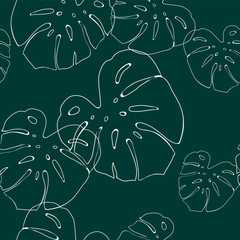 Tropical leaves pattern. Seamless texture with monstera leaf. Hand drawn tropic foliage. Exotic green background.