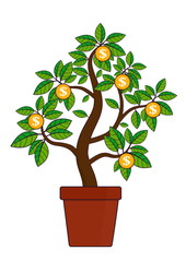 money tree symbol of wealth and abundance