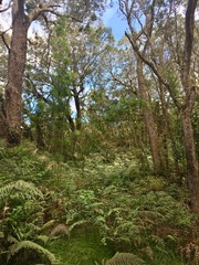 Obraz premium Der Maïdo ist ein vulkanischer Gipfel auf der Insel Réunion, oberhalb der Stadt Saint Paul und mit Blick auf den 