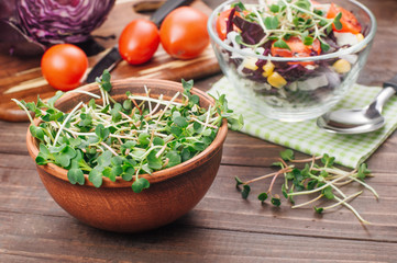 Micro green sprouts of radish in ceramic bowl near vegetable salad
