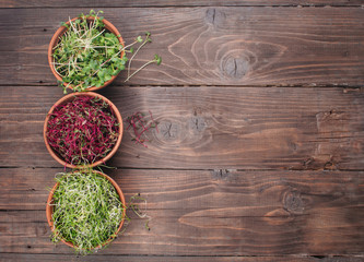 Micro greens sprouts of onion, beet and radish in ceramic bowls