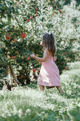 girl in pink dress in garden picking apples