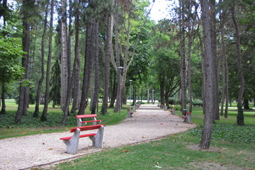 Park on Margaret Island in Budapest, Hungary