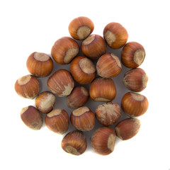hazelnuts on white background