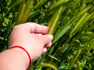 A person with a spike in his hand in spring