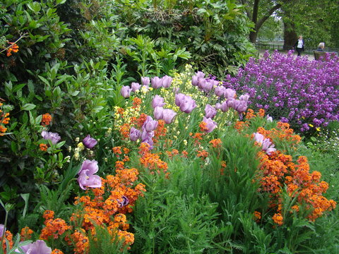 Flores jardim em londres