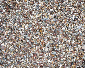 Background from many small smooth pebble stones on the sea beach on sunny day top view close-up