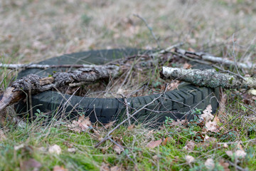Old tire overgrown by grass in the forest. Hummed forest stand.
