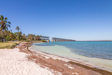 Bahia Honda State Park is a state park with an open public beach