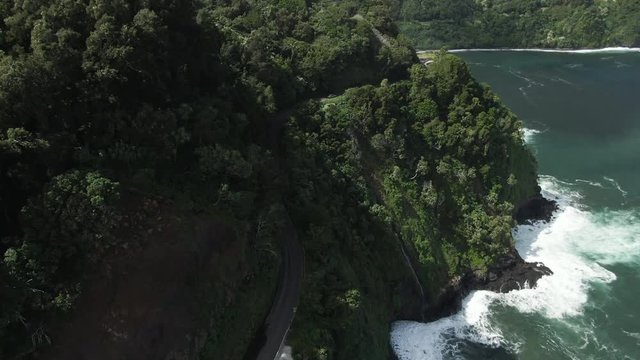 Road cuts through forest on shoreline of Maui, Hawaii, aerial