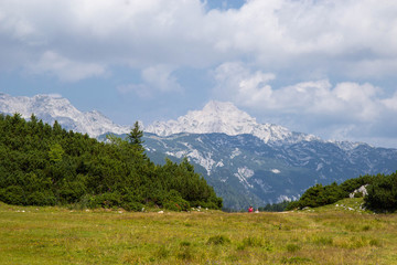 Fototapeta na wymiar View of Slovenian Alps from Velika Planina