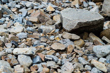 stones on beach 013