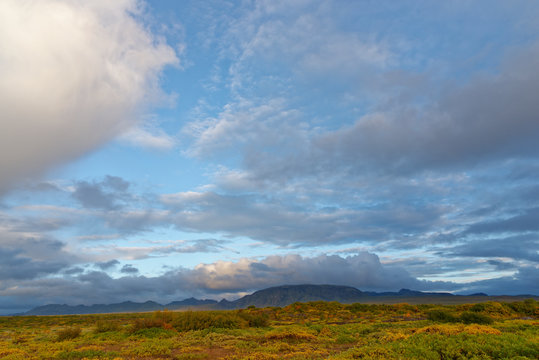 herbstliche Landschaft bei Pingvellir, Island