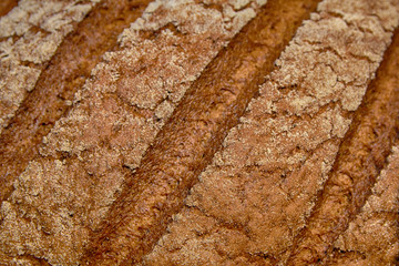 Freshly baked bread with a crust close-up. Backgrounds and Textures
