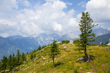 View of Slovenian Alps from Velika Planina