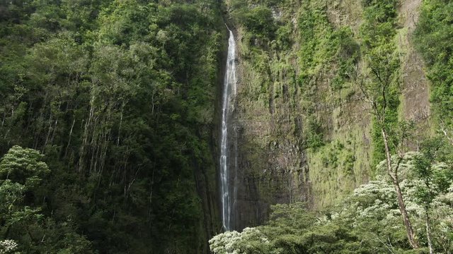 Tilt up, Waimoku Falls in Hawaii