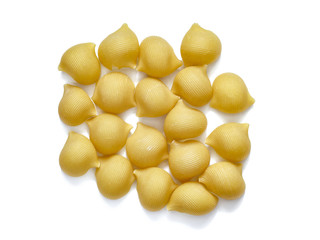 Italian pasta Conchiglioni rigati