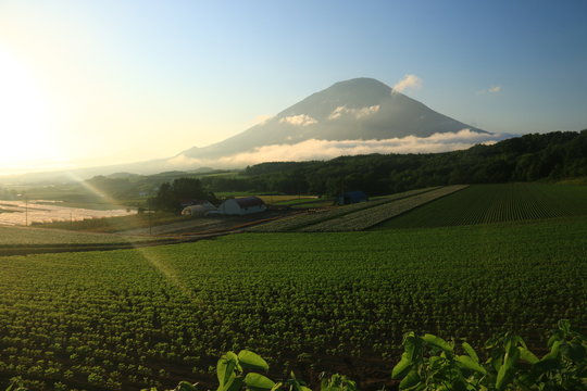 104 Best 後方羊蹄山images Stock Photos Vectors Adobe Stock