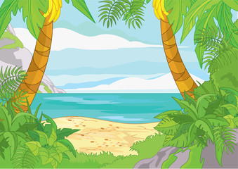 Tropical beach