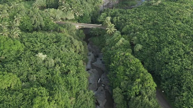 Aerial, bridge in forest at Haleakala National Park in Hana, Hawaii