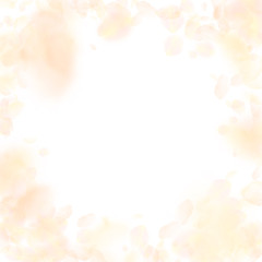 Fototapeta premium Yellow orange flower petals falling down. Shapely 