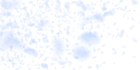 Light blue flower petals falling down. Sublime rom