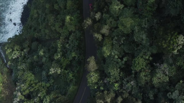 Overhead aerial, car drives along forest on Road to Hana in Hawaii