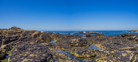 Obraz premium Paisaje marítimo en A Guarda, Galicia, verano de 2018