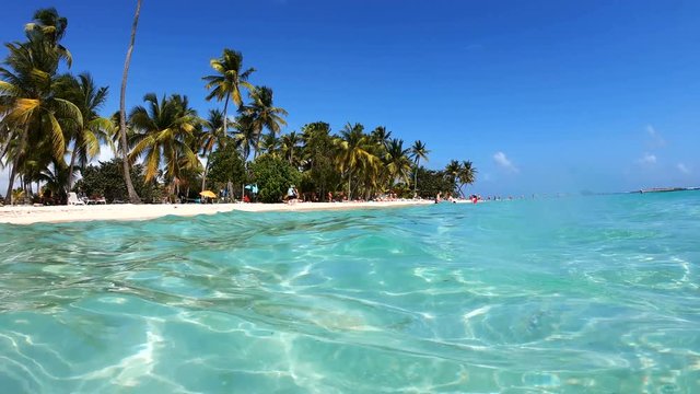 Crystal clear water and palm trees in La Caravelle beach in Guadeloupe