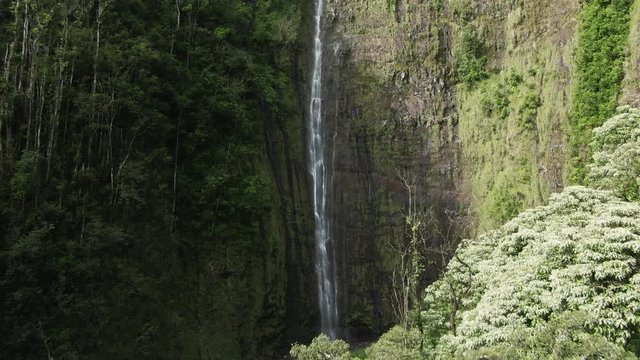 Aerial, Waimoku Falls at Haleakala National Park in Hawaii