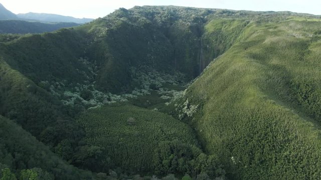 Forested valley in Haleakala National Park in Hana, Hawaii, aerial
