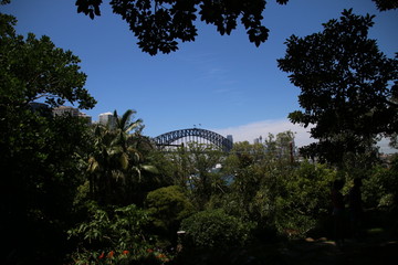 Sydney Harbour Bridge from Wendy's Secret Garden