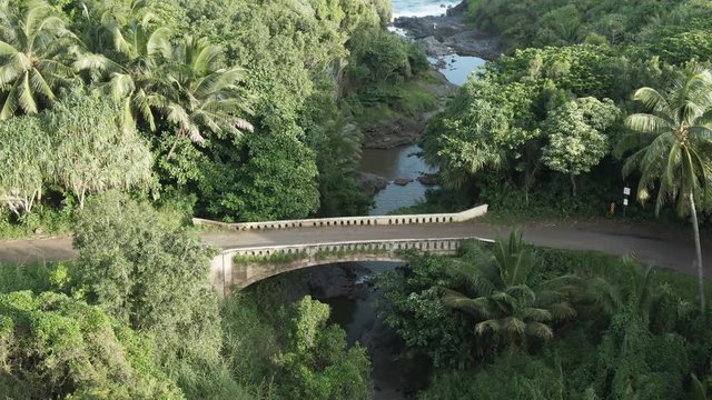 Bridge over water in Hawaiian forest, aerial view