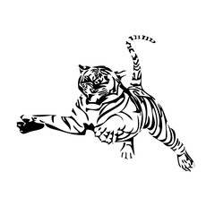 Tiger vector