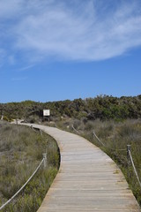 path beach nature way