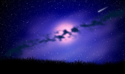 Fototapeta premium Night sky view with milky way over grass field