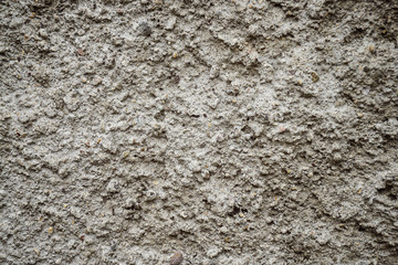 Cement Wall Texture Background