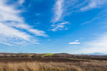 Obraz premium Landscape of farm fields with blue sky