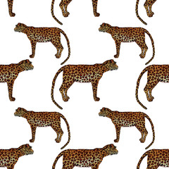 Watercolor seamless pattern with leopard