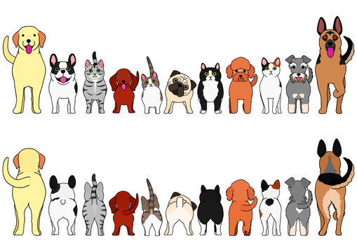 cats and dogs border set