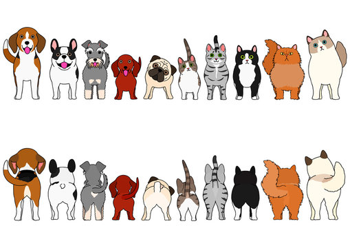 cats and small dogs border set
