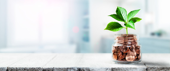 Plant Growing Out Of Coin Jar On Table In Office -  Investing / Business Success Concept - obrazy, fototapety, plakaty