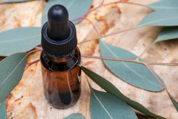 Eucalyptus Essential oil in Amber Round Glass Bottle with Glass Dropper and Fresh Eucalyptus leaves...