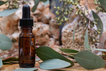 Eucalyptus Essential oil in Amber Round Glass Bottle with Glass Dropper and Fresh Eucalyptus leaves on wooden background. Phytotherapy.