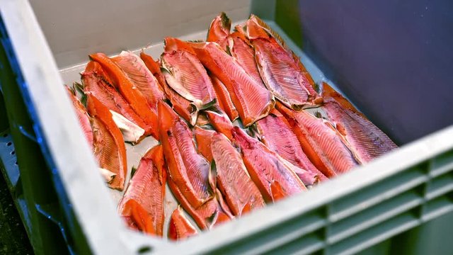 sea fish factory
